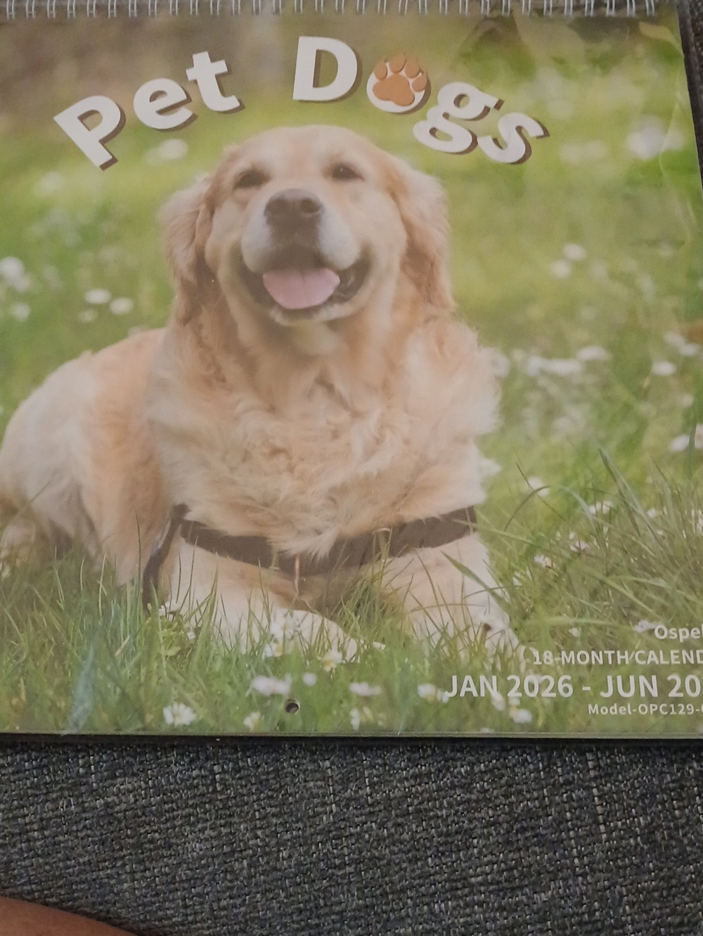 Dog Calendar - Jan 2026 to Jun 2027
